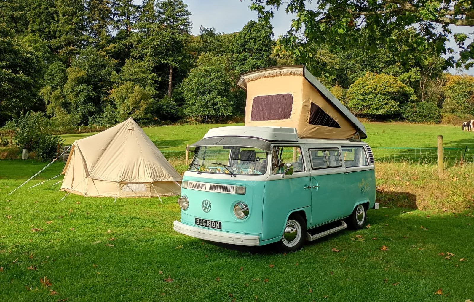 Pip, a classic vintage VW campervan, parked next to a bell tent during a Cornwall camping adventure.